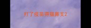 打了疫苗得猫鼻支