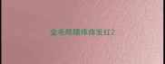 金毛眼睛痒痒发红