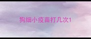 狗细小疫苗打几次