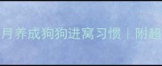 法斗训练3个月养成狗狗进窝习惯附超全训练指南