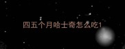 四五个月哈士奇怎么吃