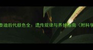 白泰迪配红泰迪后代颜色全遗传规律与养护指南附科学配种方案