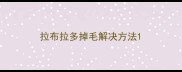 拉布拉多掉毛解决方法