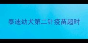 泰迪幼犬第二针疫苗超时