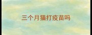 三个月猫打疫苗吗