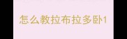 怎么教拉布拉多卧