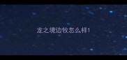 龙之境边牧怎么样