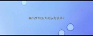 猫出生后多久可以打疫苗