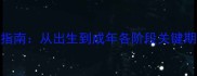 小狗发育全指南从出生到成年各阶段关键期与科学养护