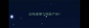 边牧是哪个国家产的