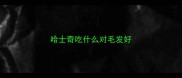 哈士奇吃什么对毛发好