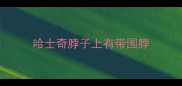 哈士奇脖子上有带围脖