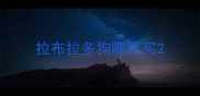 拉布拉多狗哪里买