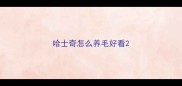 哈士奇怎么养毛好看