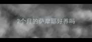 2个月的萨摩耶好养吗