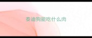 泰迪狗能吃什么肉