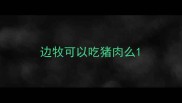 边牧可以吃猪肉么