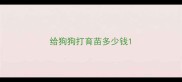 给狗狗打育苗多少钱