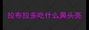 拉布拉多吃什么鼻头亮