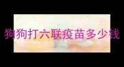狗狗打六联疫苗多少钱