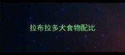 拉布拉多犬食物配比