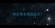 哈士奇老是舔后爪