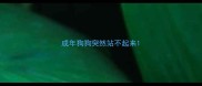 成年狗狗突然站不起来