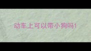 动车上可以带小狗吗