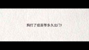狗打了疫苗等多久出门