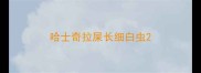 哈士奇拉屎长细白虫