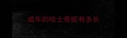成年的哈士奇能有多长