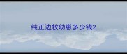 纯正边牧幼崽多少钱