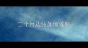 二个月边牧如何催肥