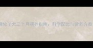 边境牧羊犬三个月喂养指南科学配比与营养方案全