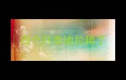 四个月泰迪拉稀了