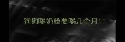 狗狗喝奶粉要喝几个月
