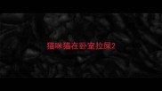 猫咪猫在卧室拉屎