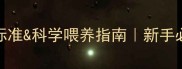金毛11个月体重标准科学喂养指南新手必看幼犬成长全攻略