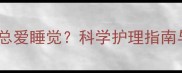 三个月泰迪犬总爱睡觉科学护理指南与常见问题全