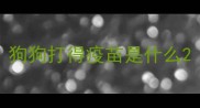 狗狗打得疫苗是什么