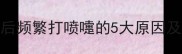小猫接种疫苗后频繁打喷嚏的5大原因及科学应对指南