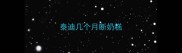 泰迪几个月断奶糕
