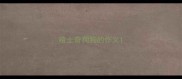 哈士奇狗狗的作文