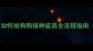 洛阳宠物医院推荐如何给狗狗接种疫苗全流程指南附权威机构名单