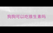 狗狗可以吃维生素吗