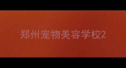 郑州宠物美容学校