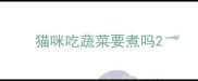 猫咪吃蔬菜要煮吗