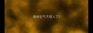 猫咪生气不理人了