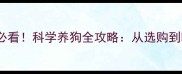 10个关键点新手必看科学养狗全攻略从选购到喂养的完整指南