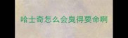 哈士奇怎么会臭得要命啊
